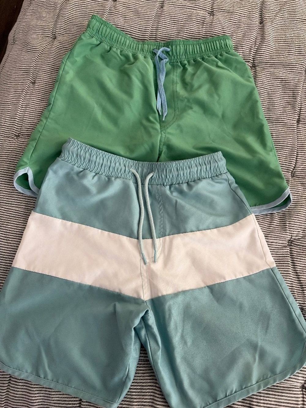2 minnow swim shorts